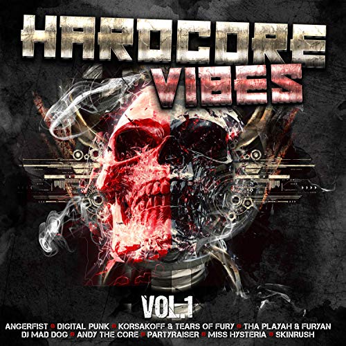 Play Hardcore Vibes, Vol. 1 by VARIOUS ARTISTS on Amazon Music