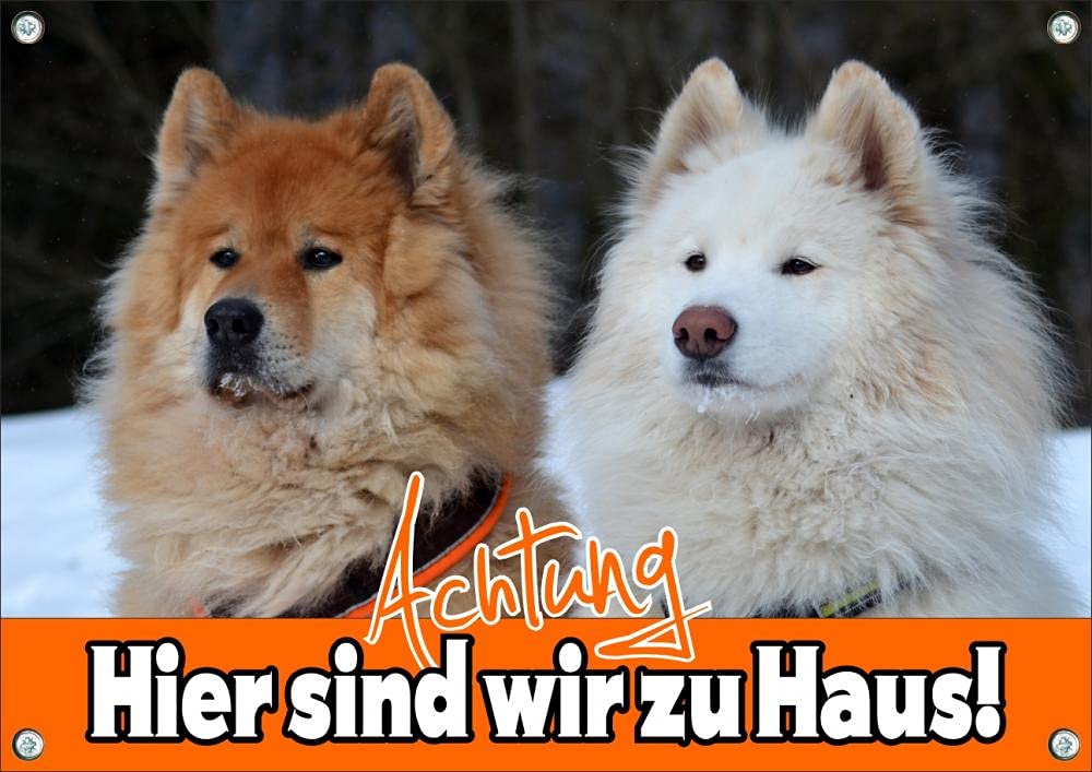 außergewöhnliches Hundewarnschild - Eurasier und Samojede - Metallschild in Premiumqualität, DIN A3