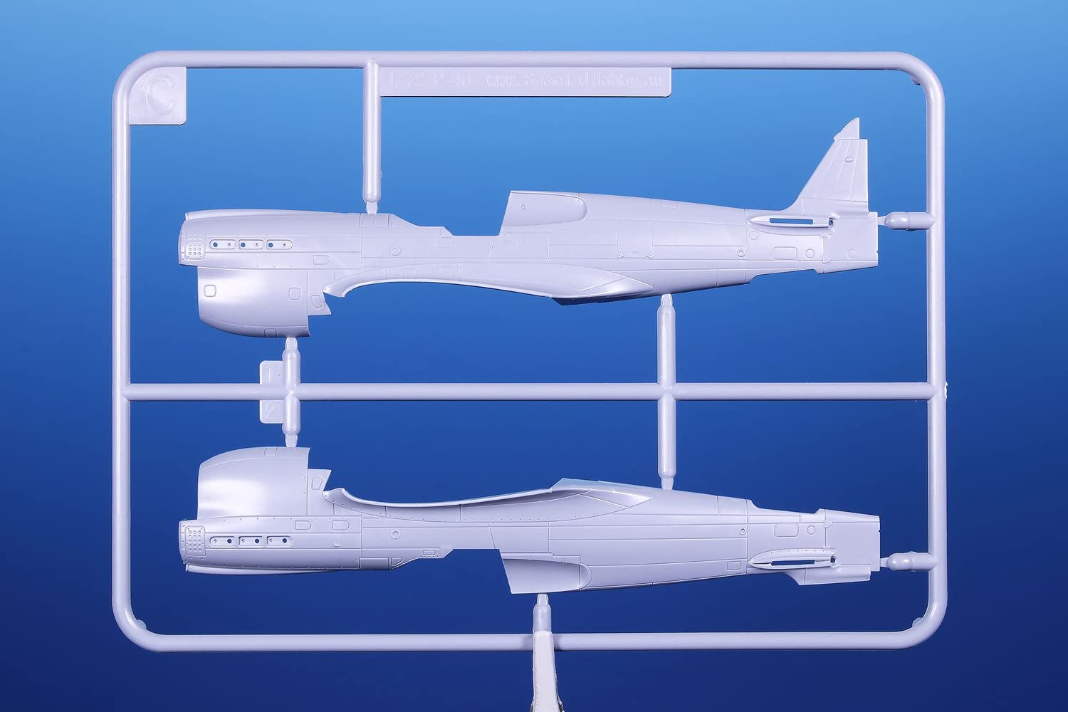 Amazon | スペシャルホビー 1/72 ニュージーランド空軍 カーチス