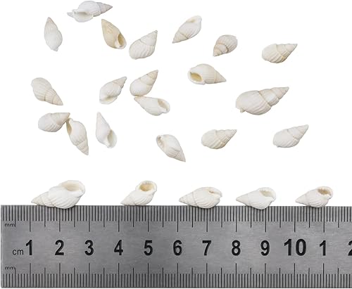 Miniatura 2 de WANDIC Mini caracolas naturales, paquete de 8.82 oz de cuentas de concha en espiral blancas para playa, conchas marinas, manualidades para tanque de