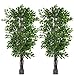 Woooow 2 Pack 6.5'/pc Ficus Silk Tree,Artificial Tree Ficus Tree with Green Leaves and Natural Trunk, Beautiful Fake Plant for Living Room Balcony Corner Decor,Indoor-Outdoor Use(Pot not Include)
