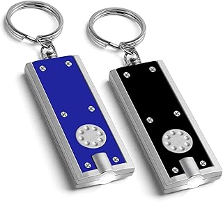 2pk LED Keychain Small Torch Light | Pocket Torch Small Bright with Built in Batteries | Small LED Mini Torch Keyring Torch for Outdoor, Emergency & Daily Use | Mini Torches for Kids