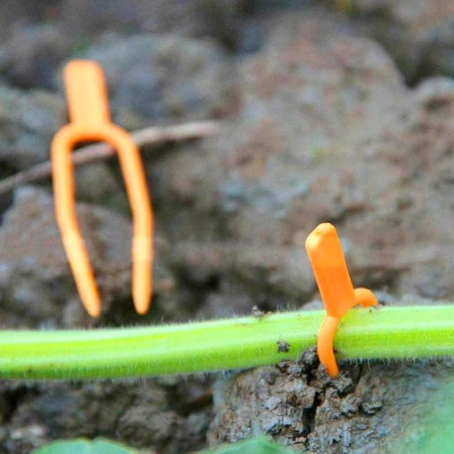 Amazon.co.jp: SUBTLE 植物固定クリップ 100枚入り 園芸クリップ 植物 Amazon.co.jp: SUBTLE 植物固定クリップ 100枚入り 園芸クリップ 植物