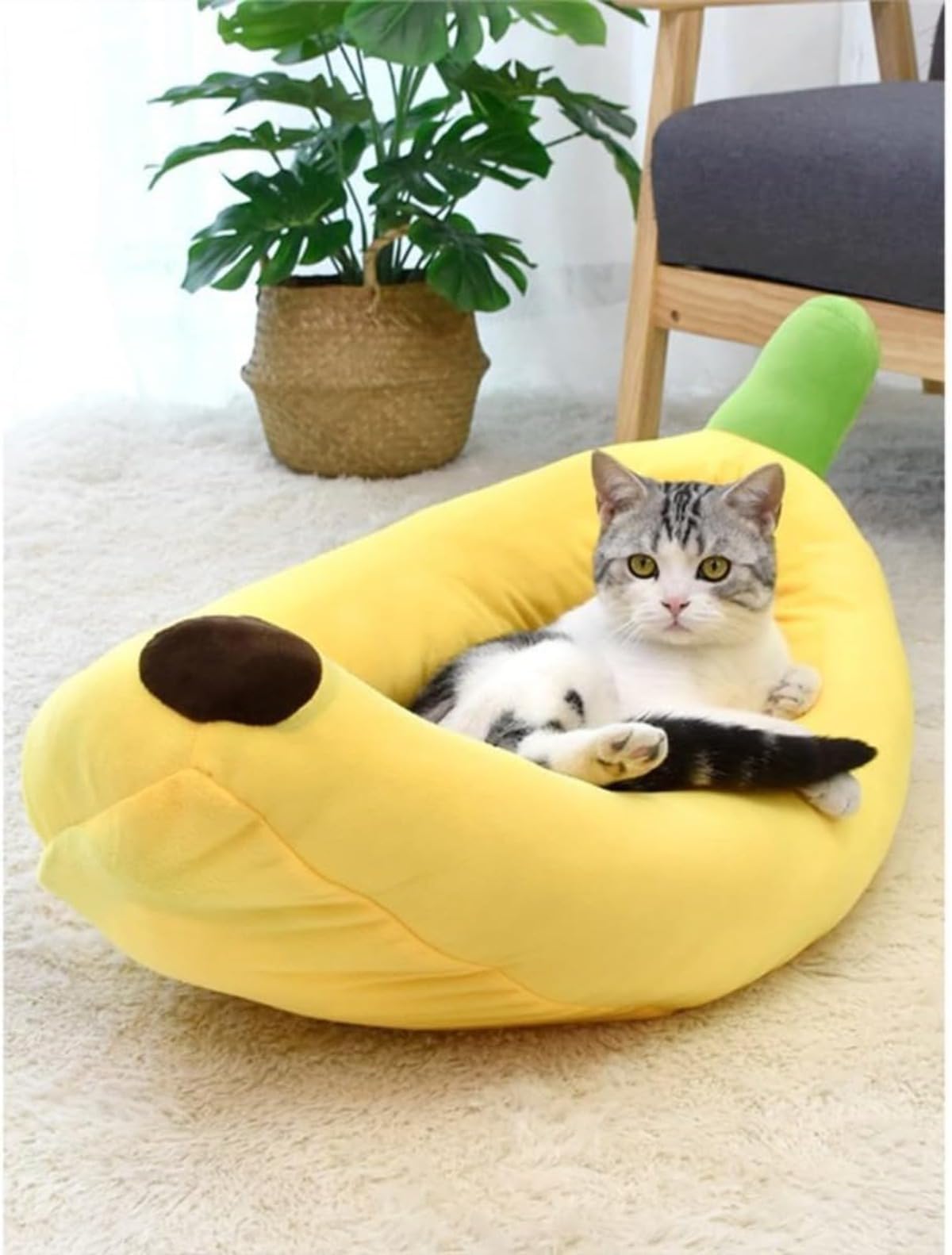 Amazon | Zehaiwl ペットベッド ペットハウス ペットソファ