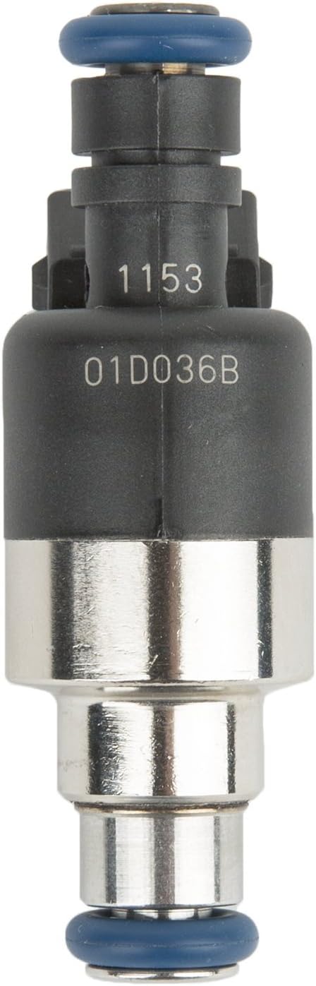 Delphi FJ10024 Fuel Injector