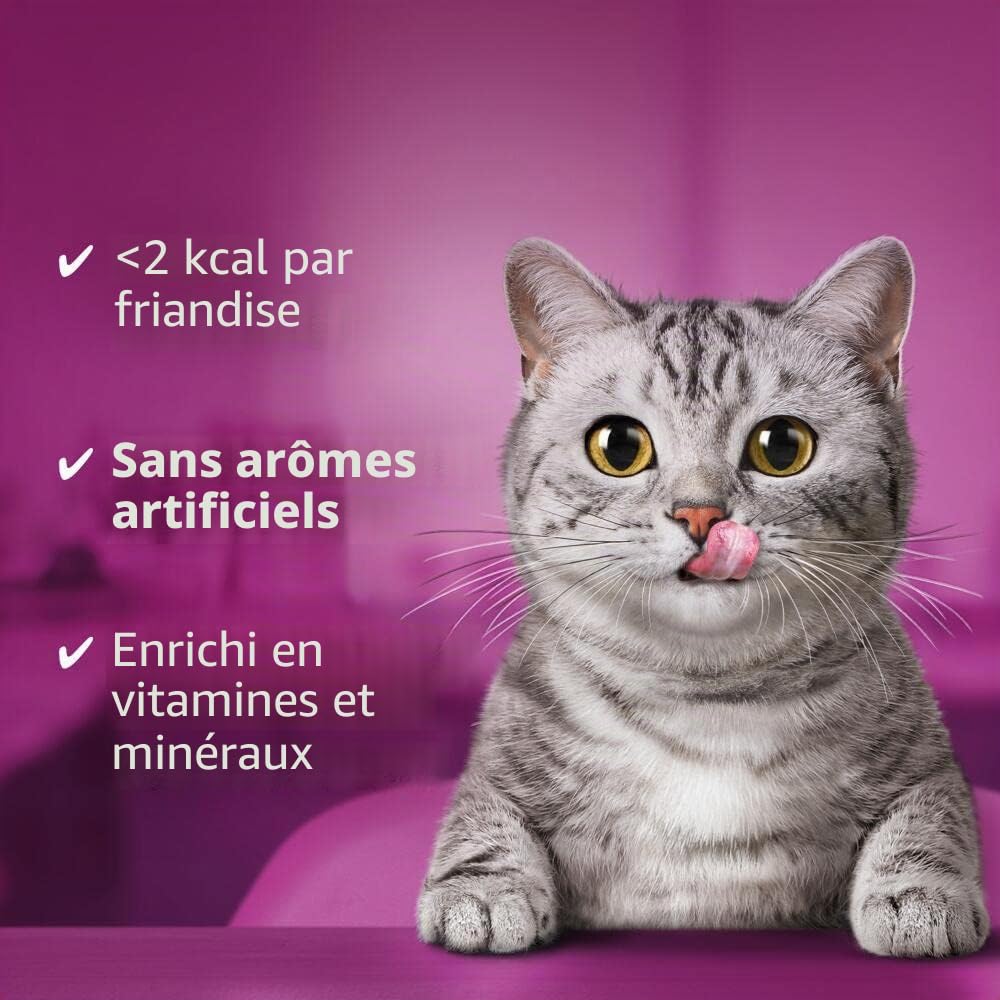 Whiskas Knuspertaschen Lot de 4 Paquets de friandises pour Chat au goût Saumon, 4 x 180 g (4 Paquets) – Différents emballages de Produits Disponibles