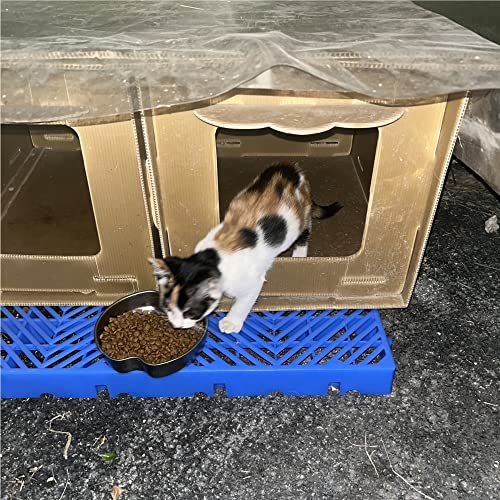 Ezkxoprs Pallet in Polietilene, Magazzino Plastics...