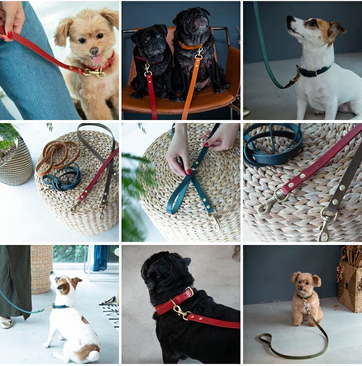 Amazon | [citydog/シティドッグ] クラシックレザーリード ｜ 本革 革