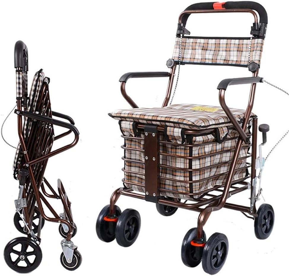 sedia a rotelle leggera con elevatore