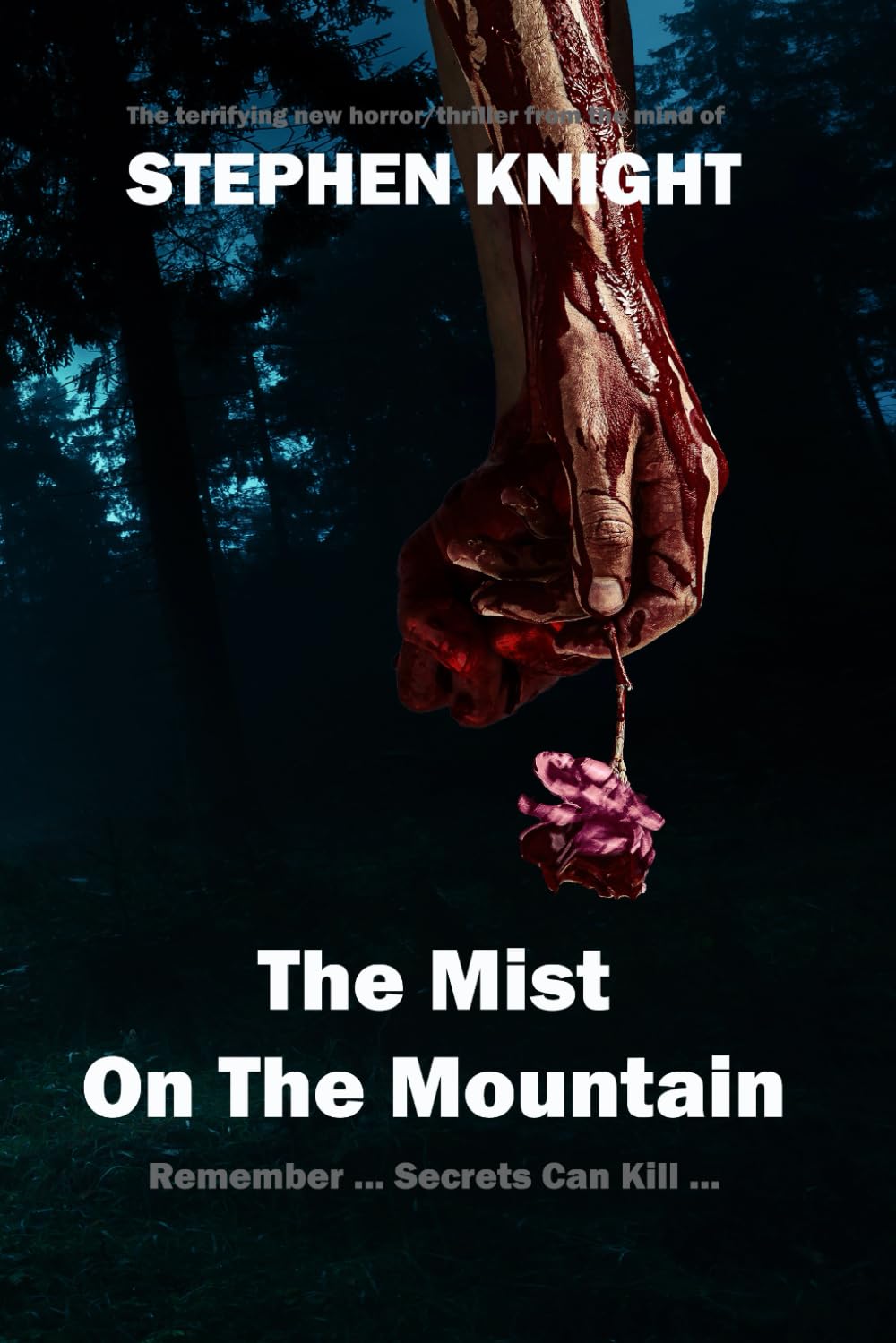 The Mist on the Mountain (The Garw Valley Murders)