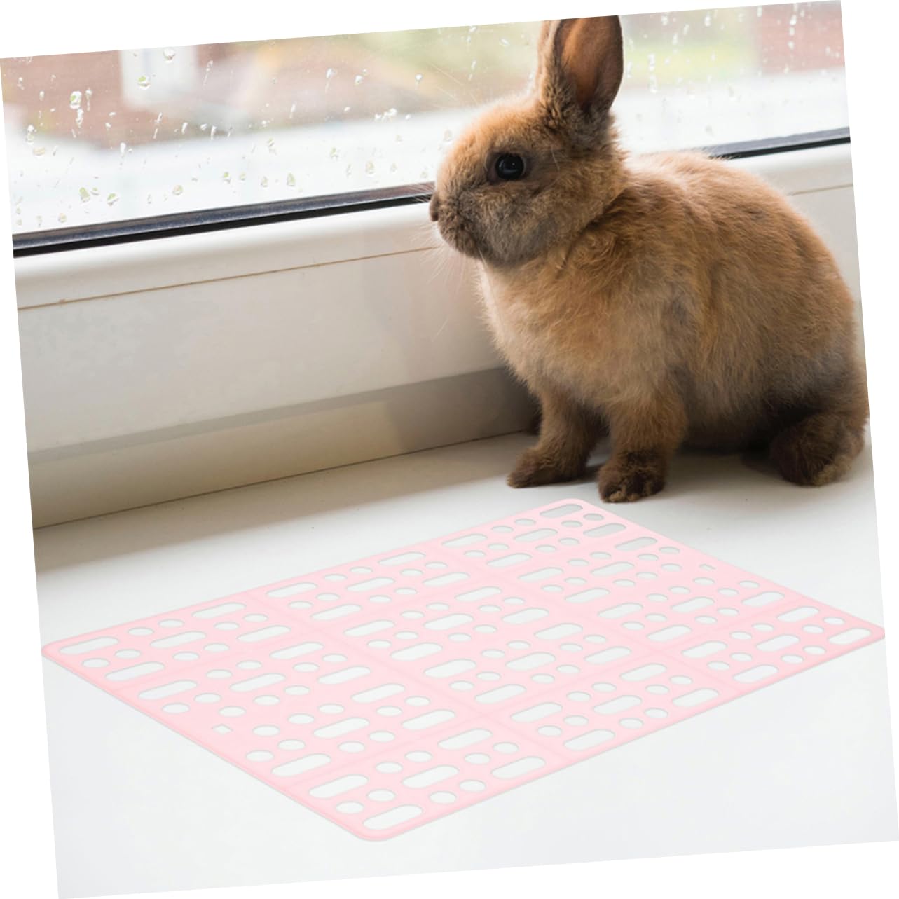 Pack Bodenmatte für Kaninchenkäfige aus Abs Kleintiermatten mit Pfotenschutz Pflegeleicht Passend für Hasenstall Zubehör Draußen 6 Stück