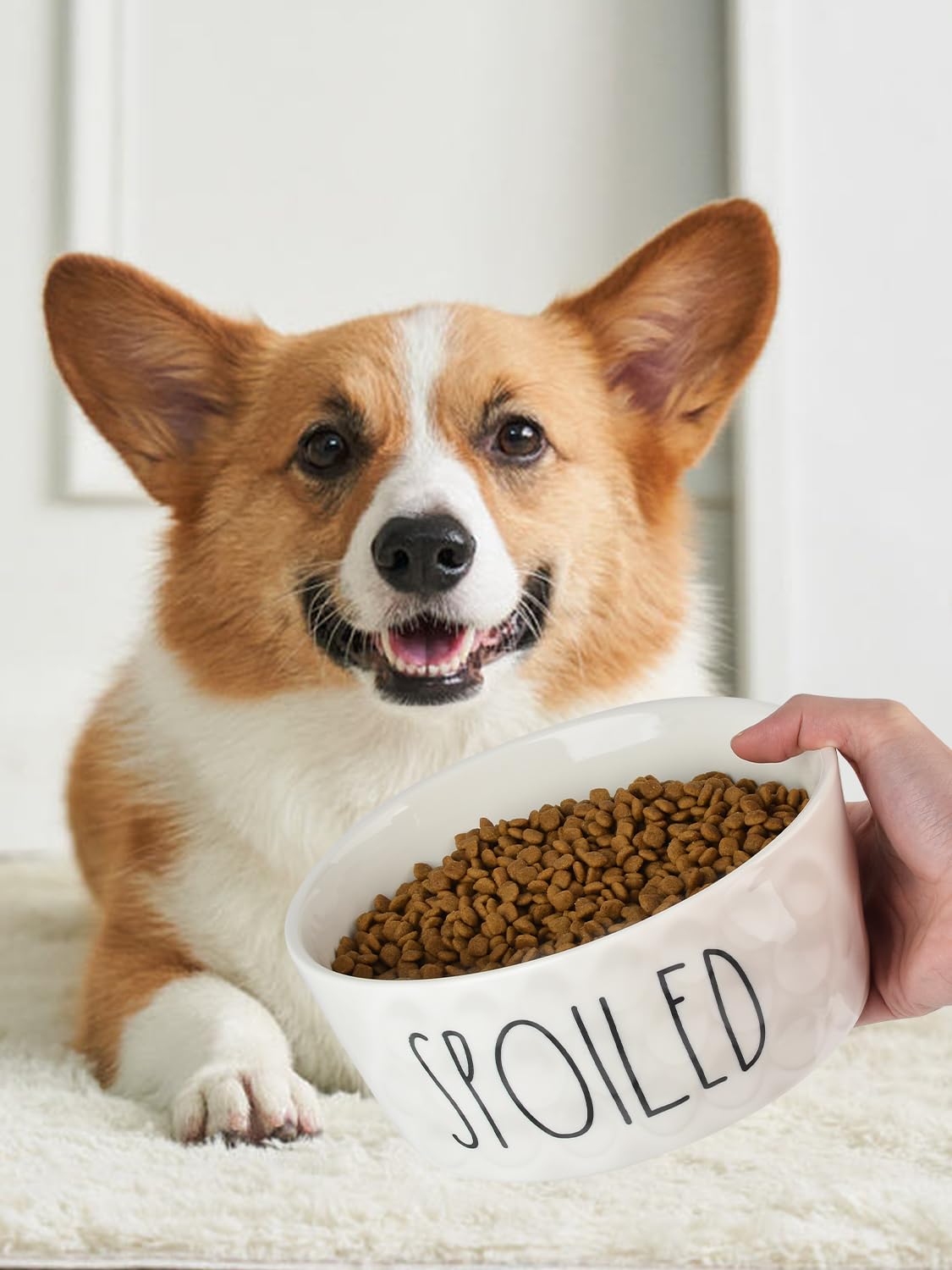 70OZ Ceramic Dog Bowl - 8'' Extra Large Food Water, Heavy Duty Non-Slip Dog Dish for Medium and Large Dogs, Food Grade Porcelain Pet Feeder Bowl, Microwave & Dishwasher Safe, Pink: 6 inch White
