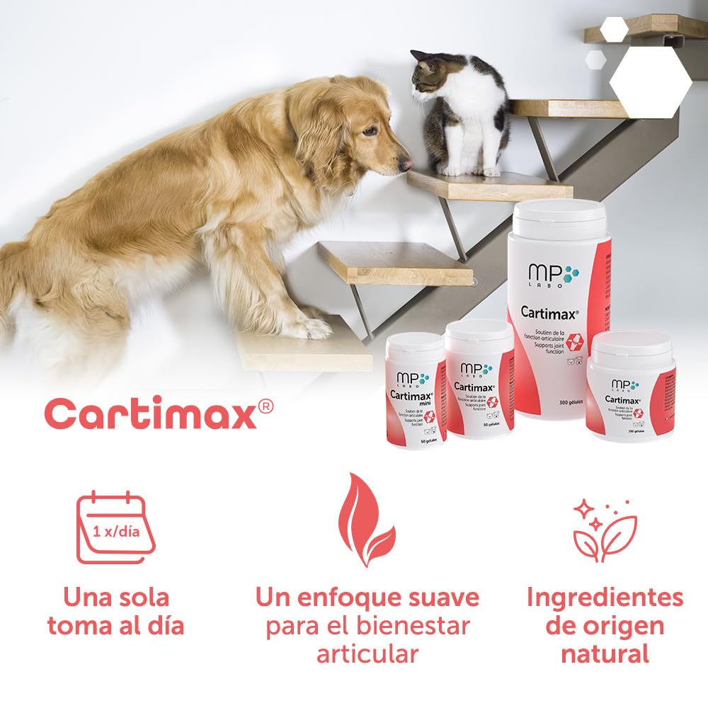 MP Labo Cartimax® - Apoyo de la función Articular para Perros y Gatos - Glucosamina, harpagofito, Reina de los prados, bambú y oligoelementos (250 cápsulas)
