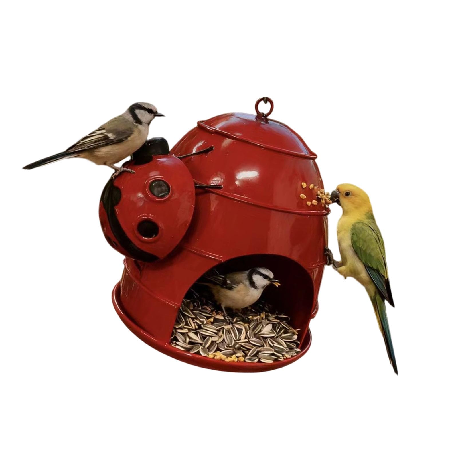 Récipient à nourriture pour oiseaux en aluminium premium durable