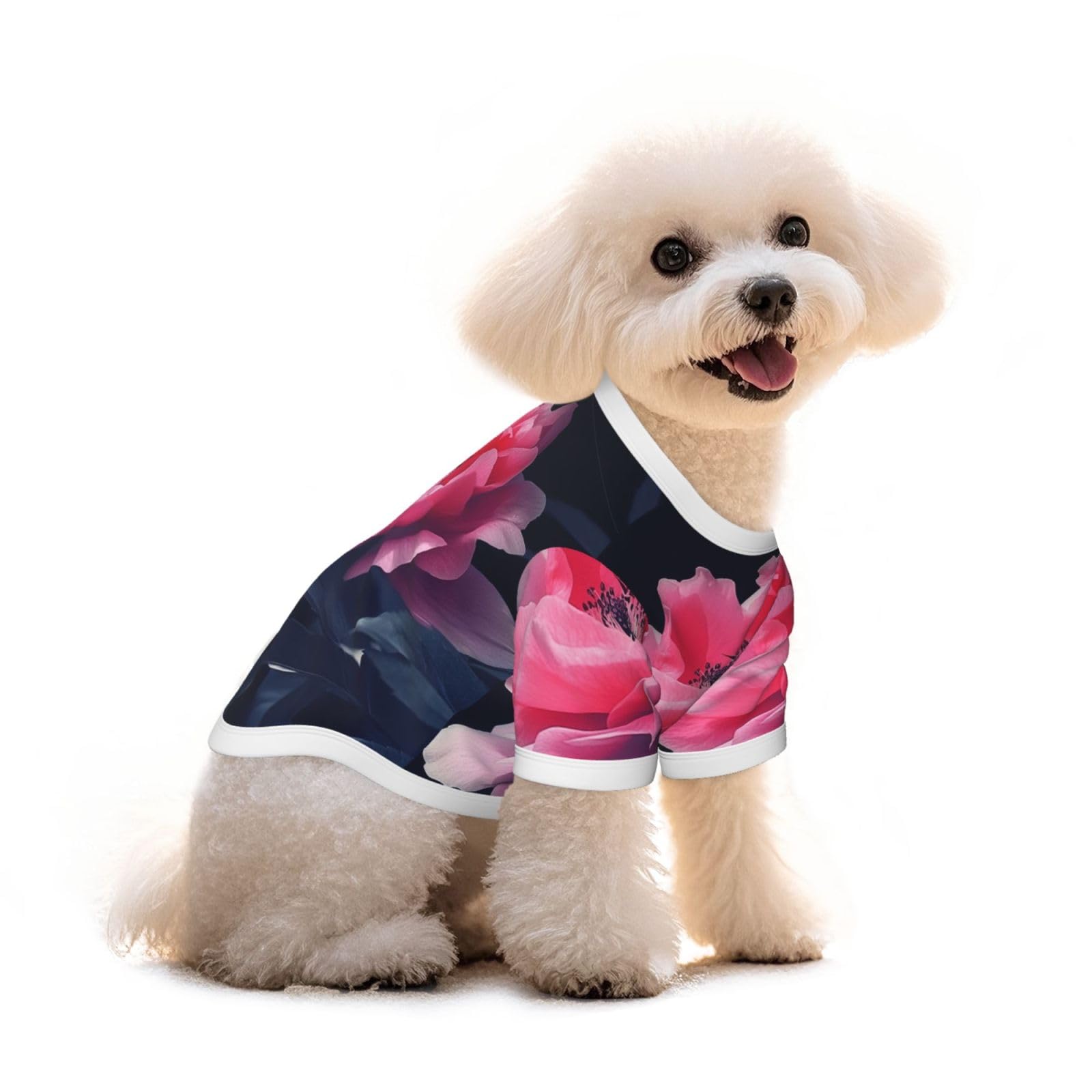 T-shirt pour chien en pur coton idéal pour les balades de votre teckel ou chiot