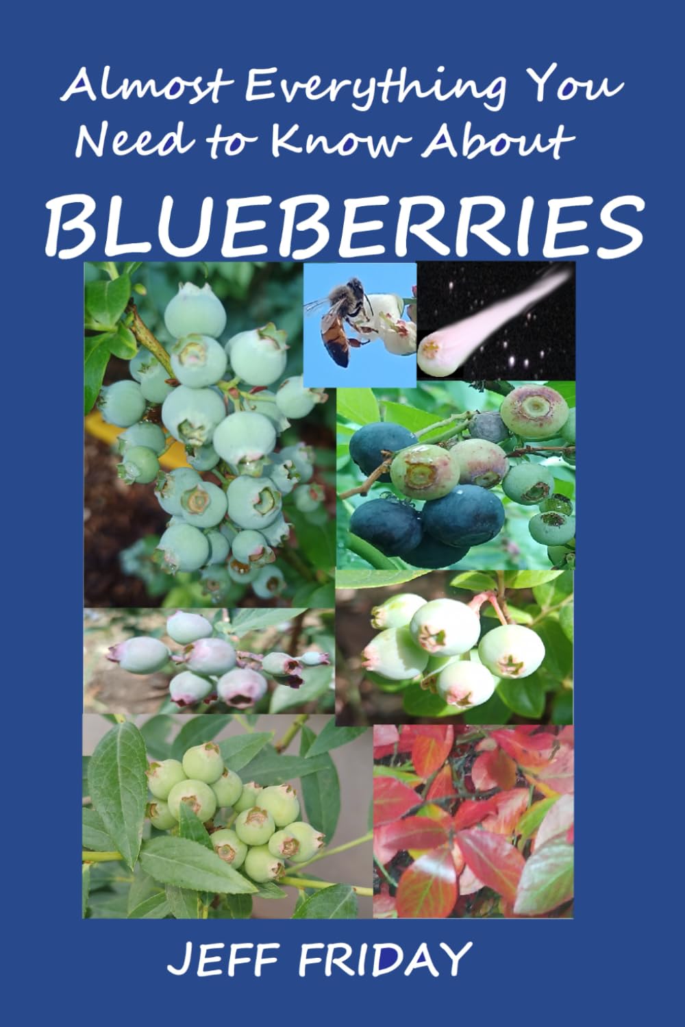 Almost Everything You Need to Know About BLUEBERRIES