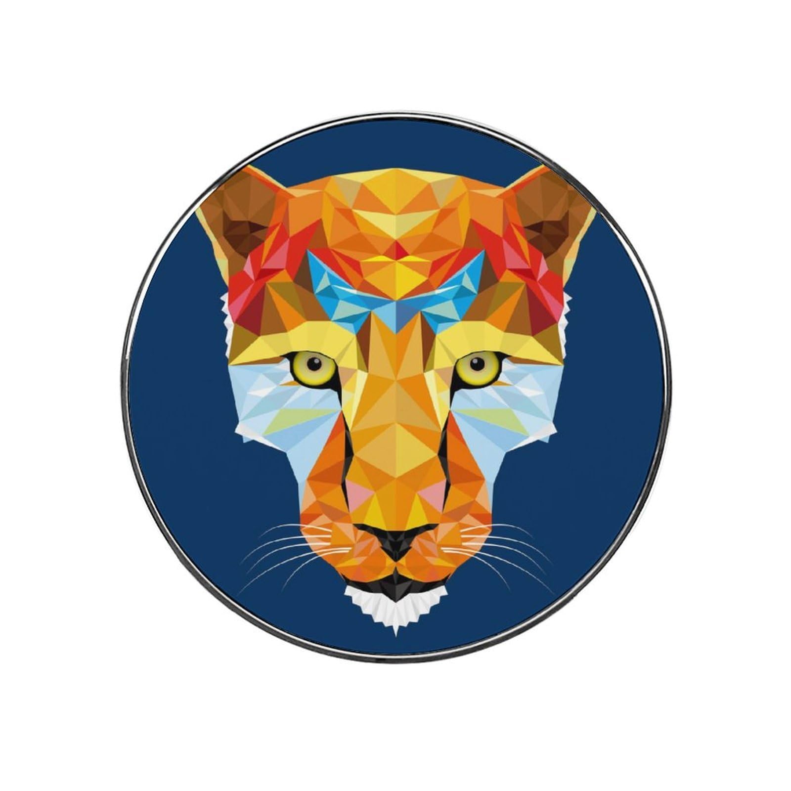 Animal Lion Magnets For Fridge Kitchen Decoration For Refrigerators Whiteboards