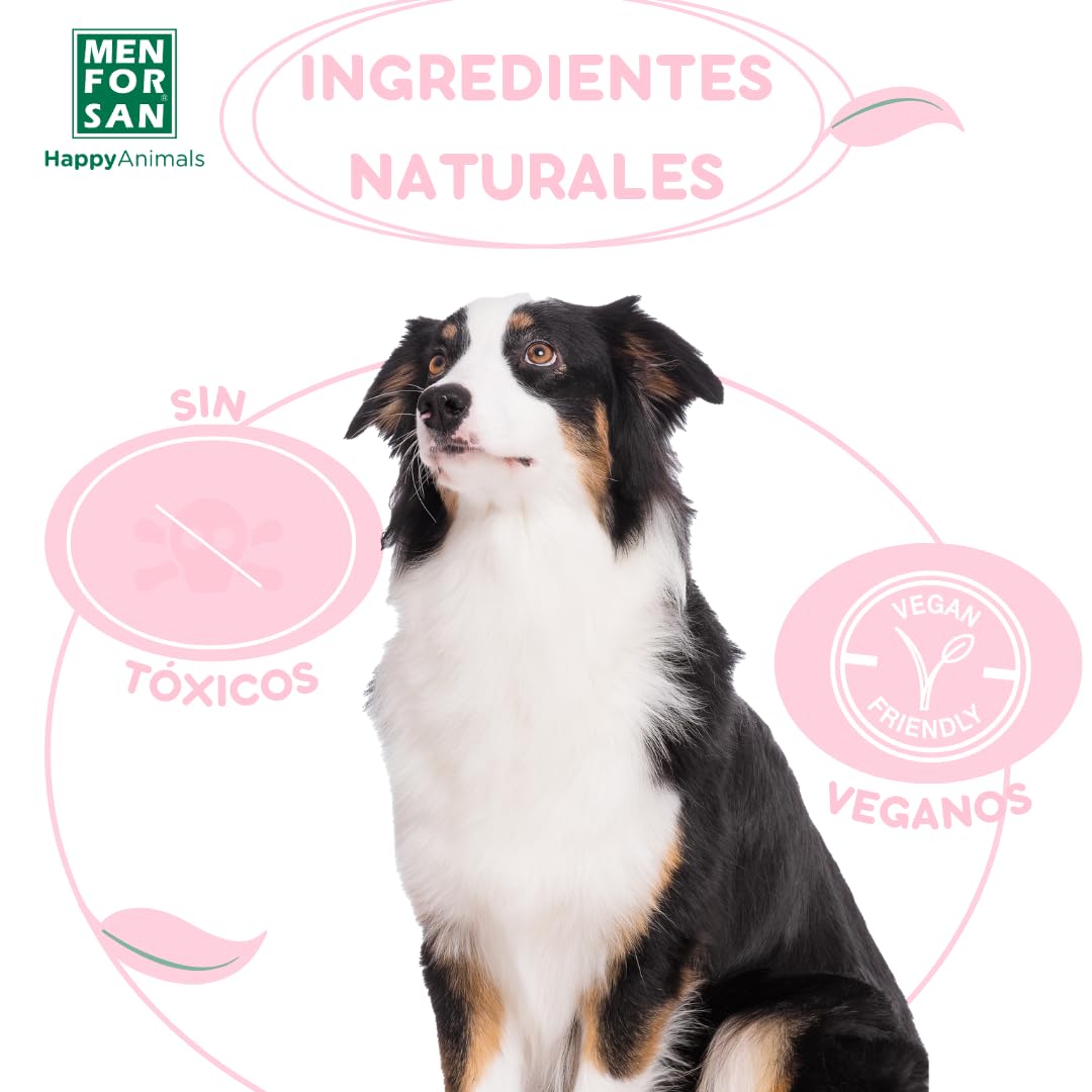Shampooing et après-shampooing Men for San Chien (5 L)