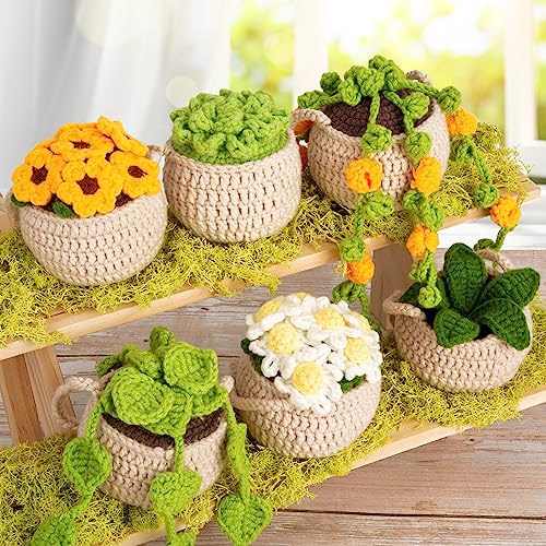 Karsspor Beginner Crochet Kit, 6 PCS Hanging Potted Plants Crochet - Image 2