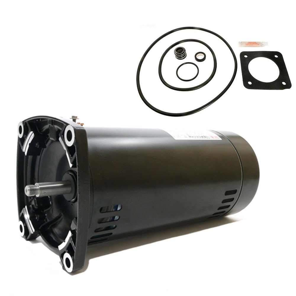 Puri Tech A.O. Smith SQ1072 Pool Motor
