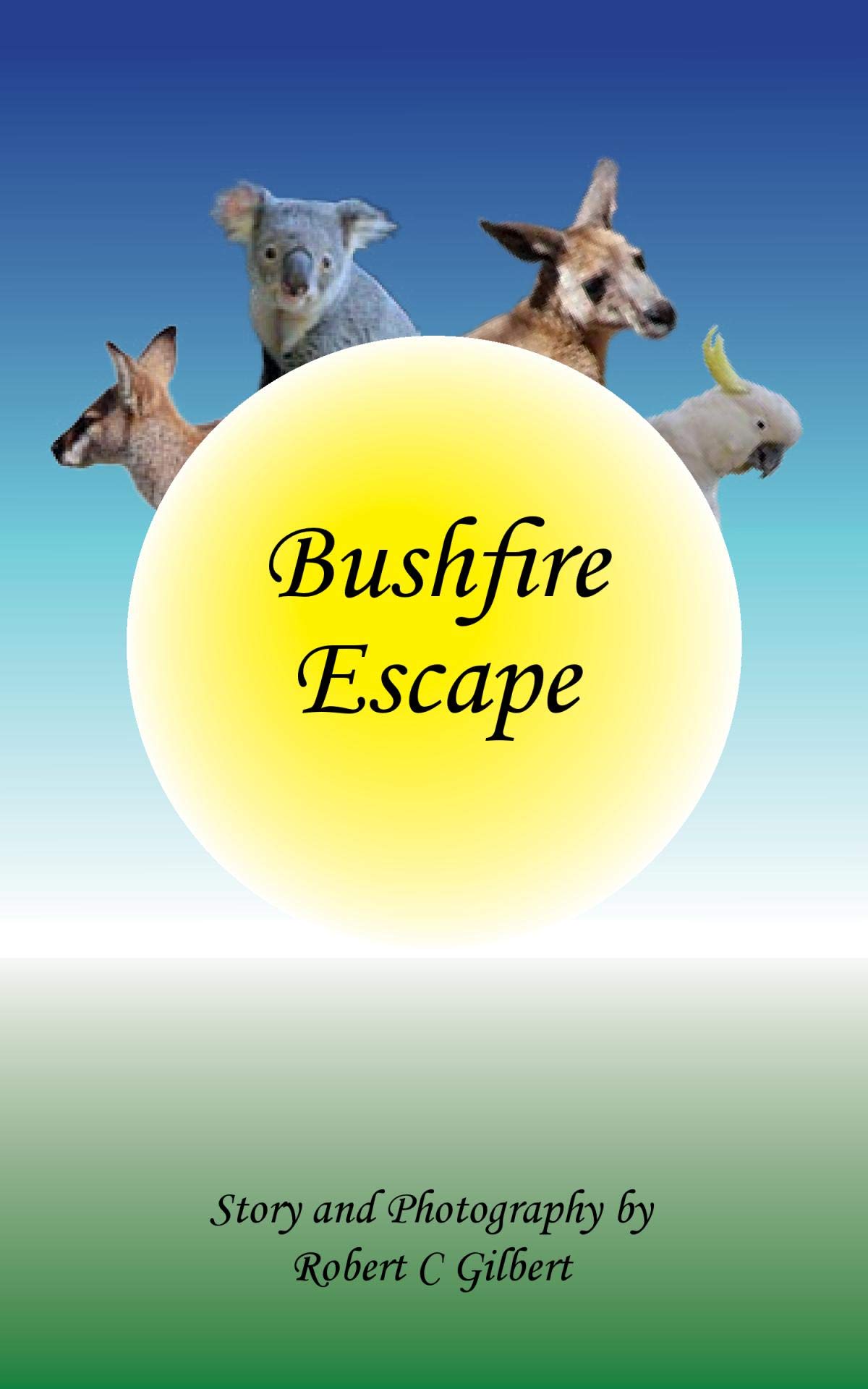 Bushfire Escape (Beresa Children Stories Book 5)