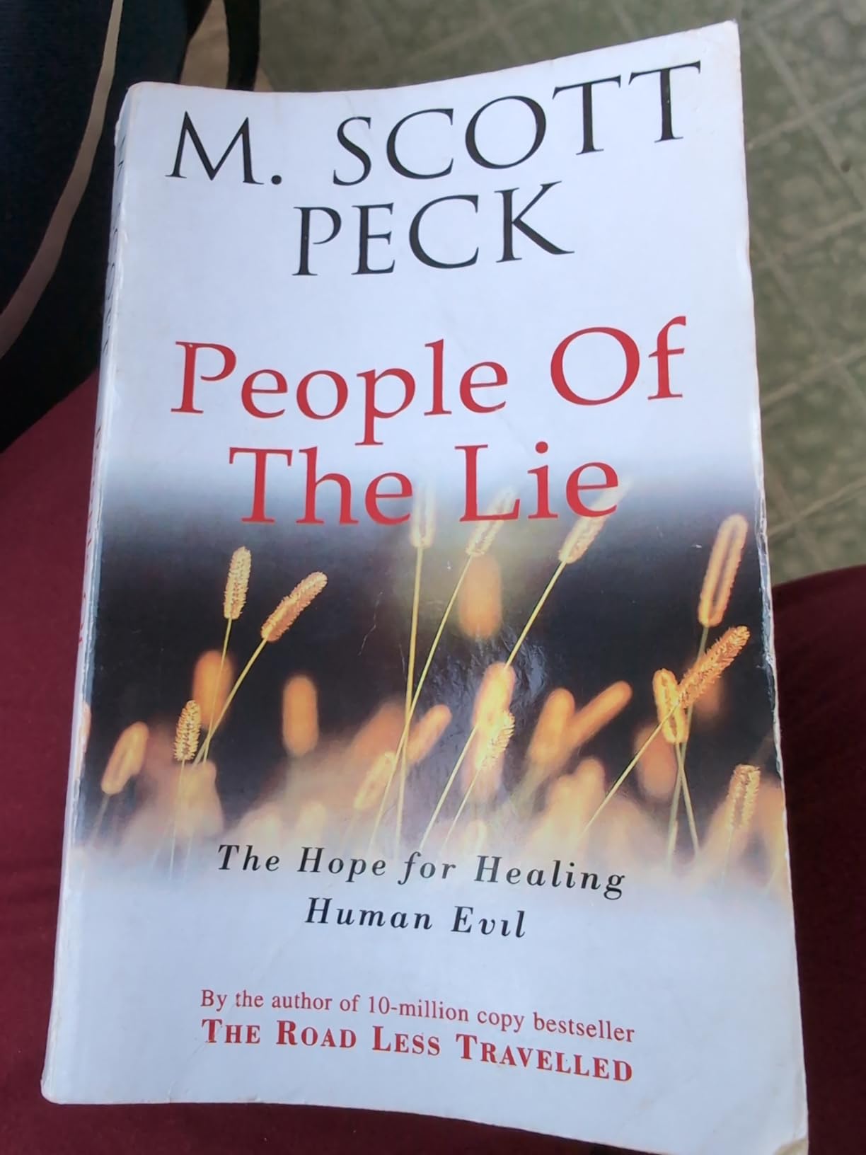 Buy The People Of The Lie Book Online at Low Prices in India | The People Of The Lie Reviews ...