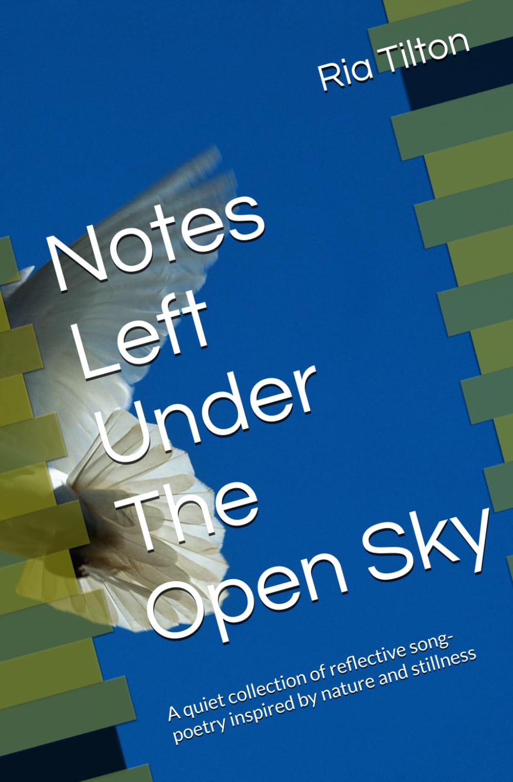 Notes Left Under The Open Sky: A quiet collection of reflective song-poetry inspired by nature and stillness