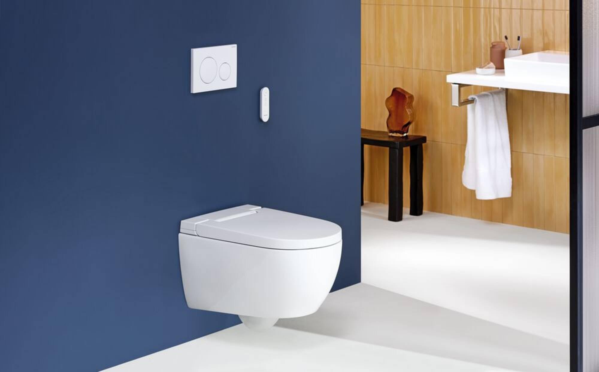 Geberit AquaClean Alba WC douche, installation complète, WC suspendu, 146.350.01.1, 146.350.01.1