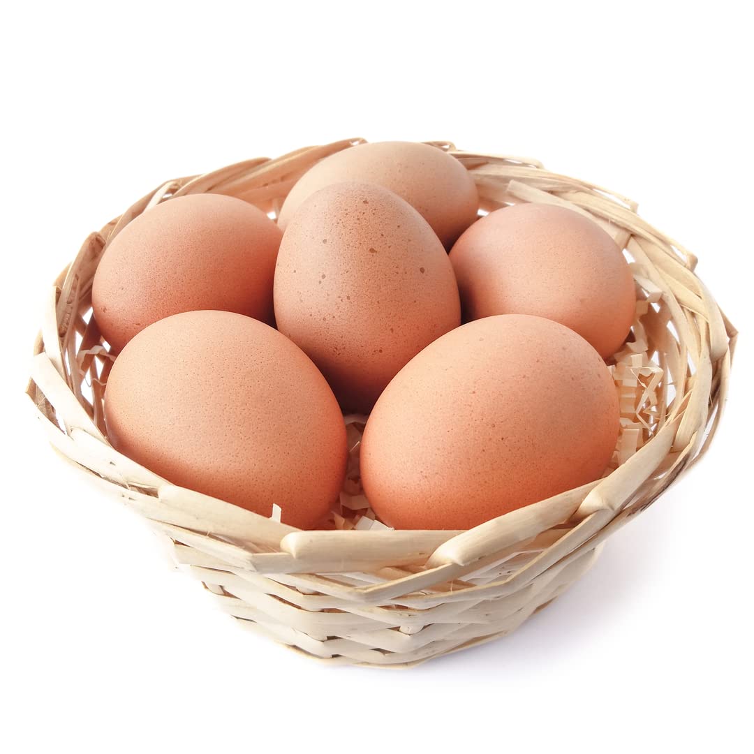Organic Free-Range Eggs 48 Pack