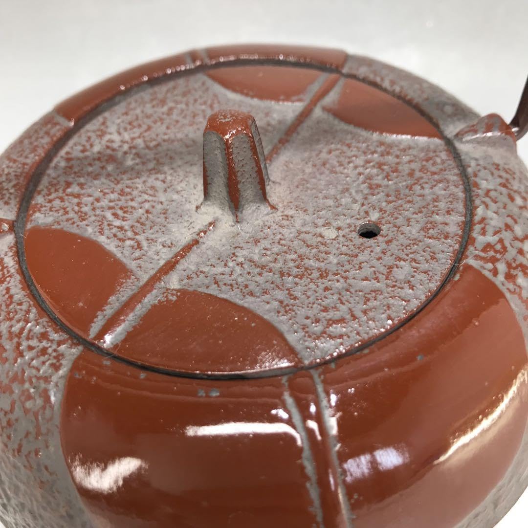 Amazon | 南部鉄器 岩鋳 急須 鉄瓶 柿葉 赤茶 工芸 | ノー