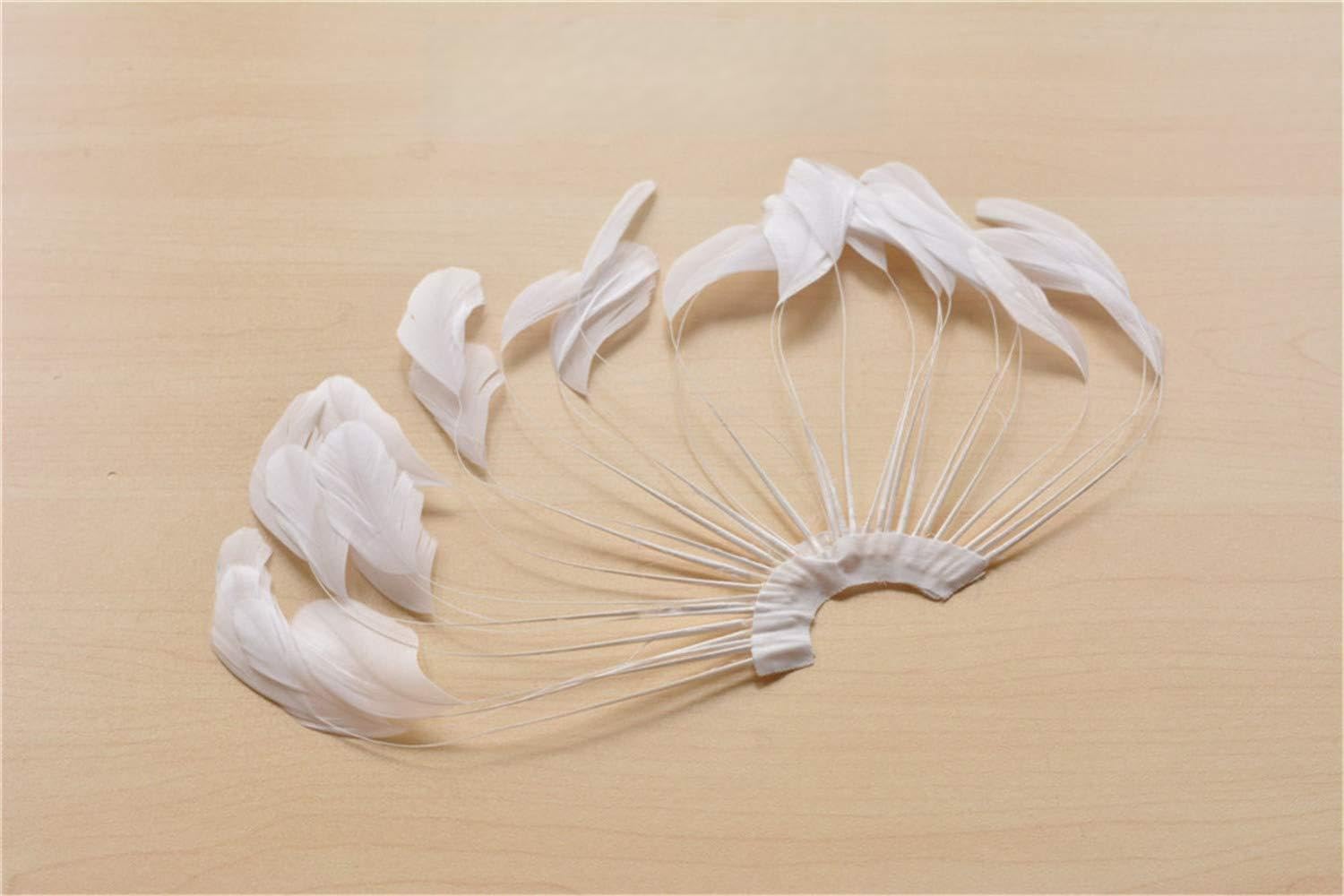 80 Colours Natural Stripped Coque Feather Fan Dyed Plume Feathers Fringe Trimmings for Fascinators & Hat Making Millinery Supplies Party Decor 1 Piece (White R-F05,14-16cm (5.5"-6.5"))