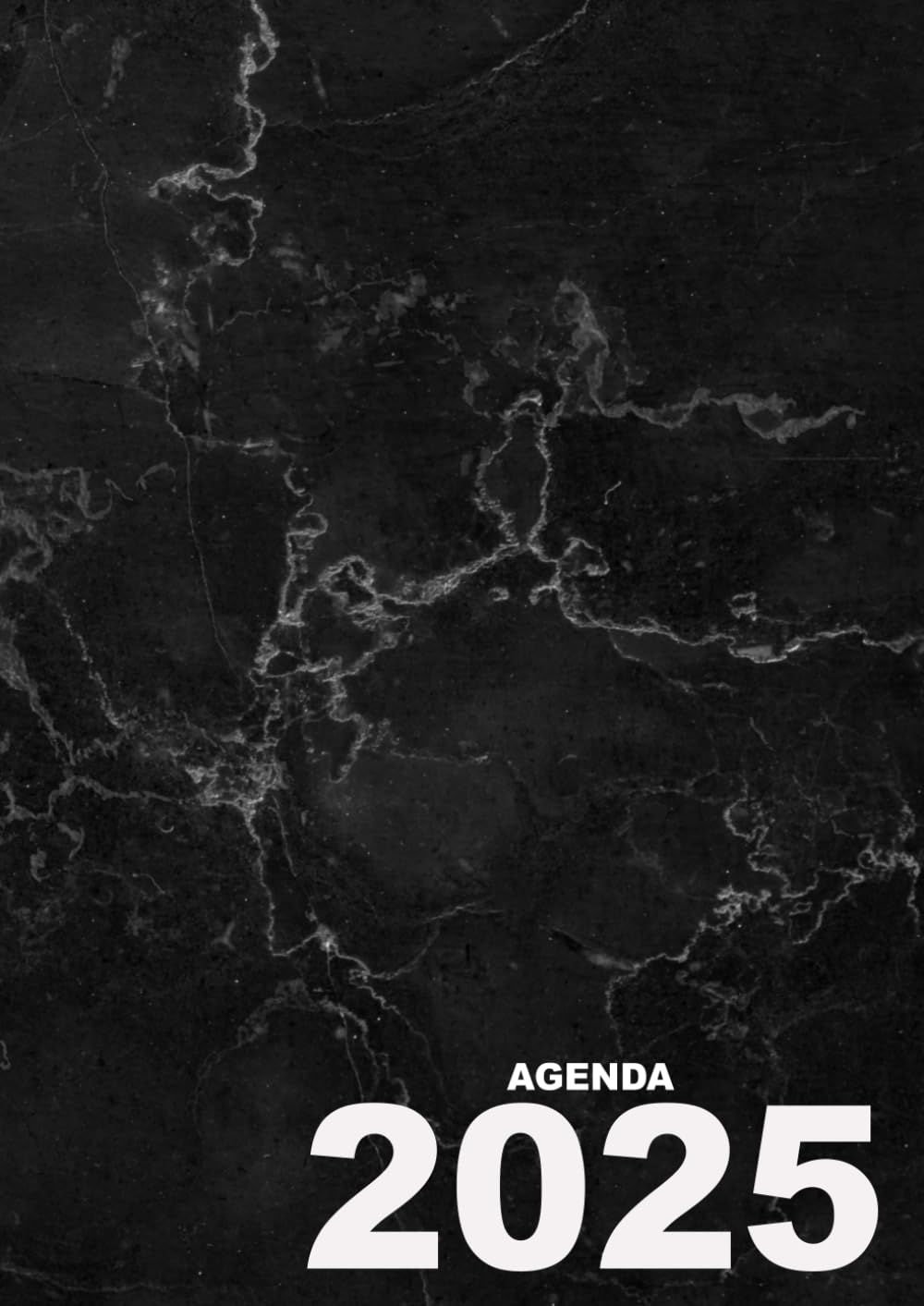 Agenda 2025: día por página grande diaria A4 - Español - 12 meses con hora .