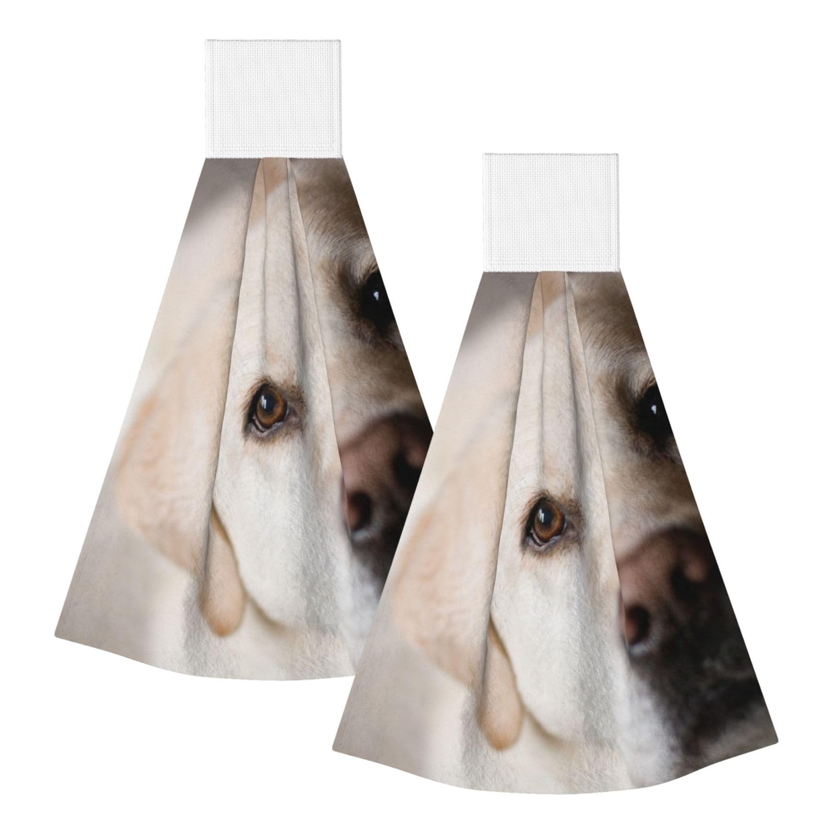 DOPKLNA Labrador Dog, 2 Pcs Hanging Coral Fiber Hand Towels for Bathroom, Absorbent Kitchen Towels