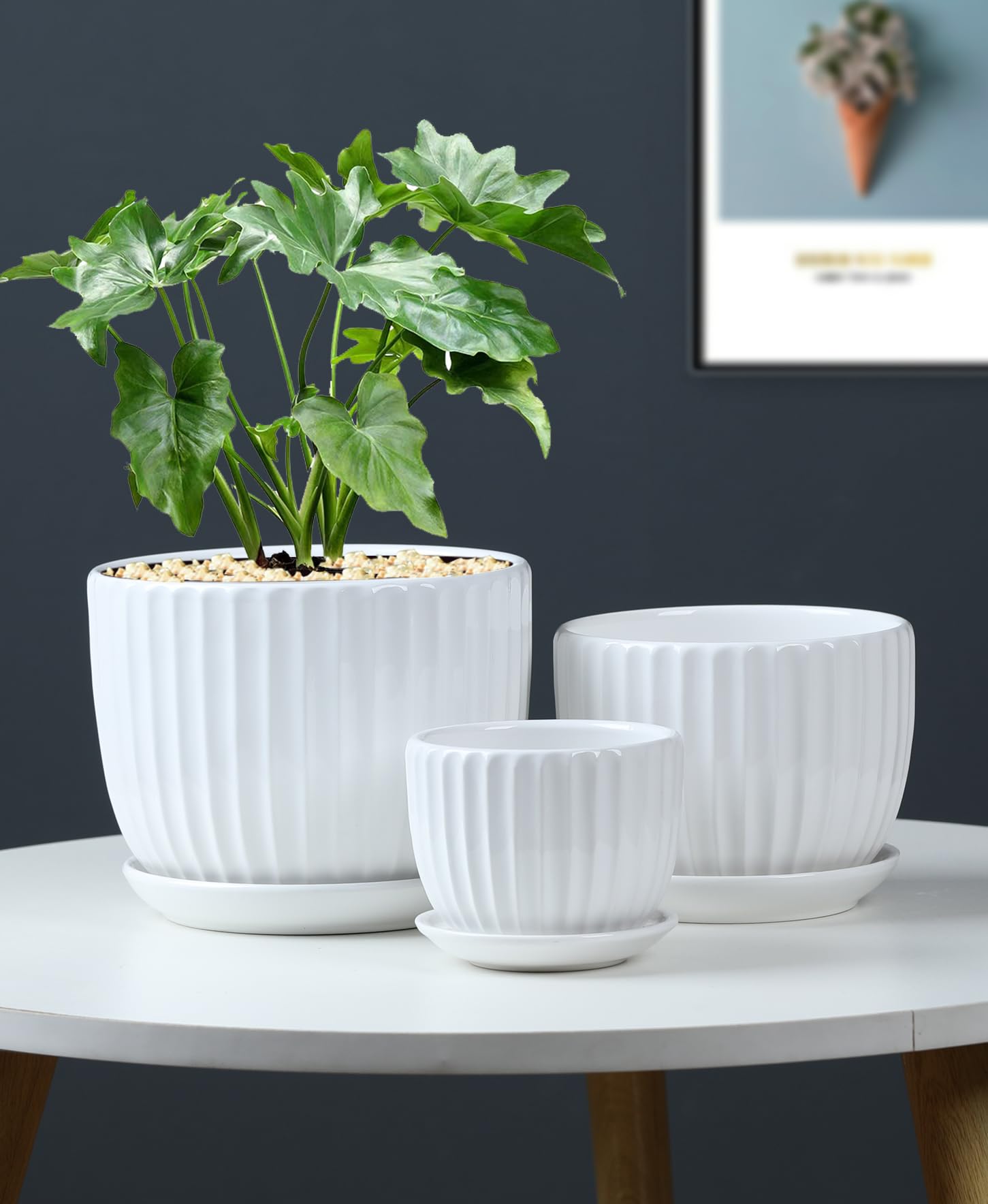 Amazon.com : White Plant Pots,Ceramic Flower Pot Set of 3 with