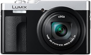 Amazon.com : Panasonic LUMIX ZS99 Point and Shoot Camera, Compact