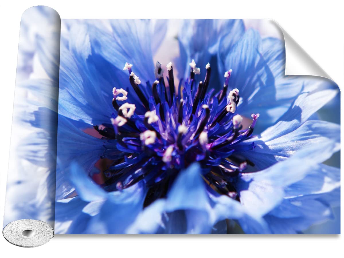Papier peint moderne Fleur de marn bleu pour métamorphoser votre salon en un salon élégant
