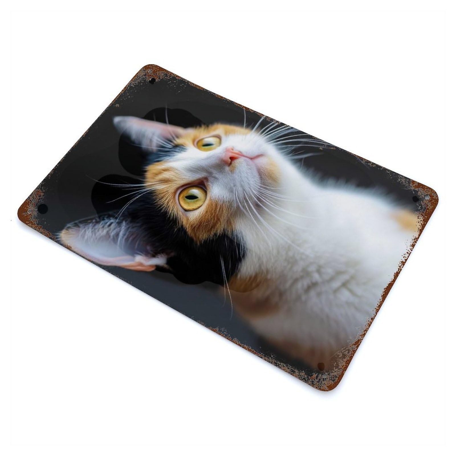 Calico Cat Portrait Aged Metal Wall Plaque 11.8"x7.9", Decorative Metal Wall Art for Garage, Pub Or Kitchen