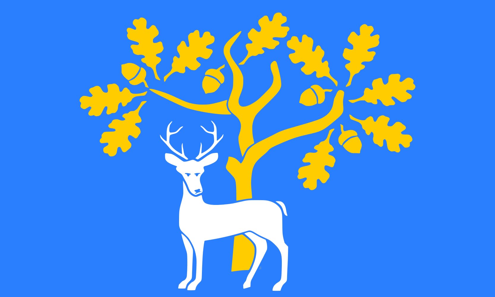 Drapeau Berkshire ABC grand pavillon extérieur et intérieur