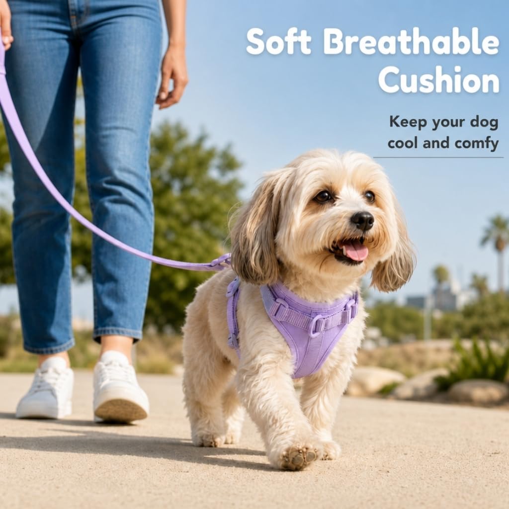 Arnés para perro, arnés para mascotas sin tirones con 3 clips de correa, chaleco acolchado suave ajustable, cojín de malla transpirable para perros pequeños, medianos y grandes (morado, pequeño