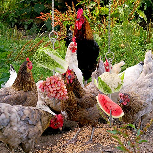 3 stuks kippenvogel groenten spies fruithouder, vogel fruithouder roestvrij staal vogeltraktatie spies, voedselvoer… - Afbeelding 8