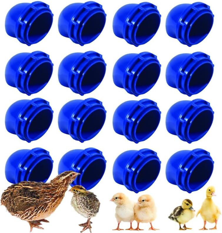 Generic Quail & Chick Port Feeder by NWQuailFarm (16 Pack)