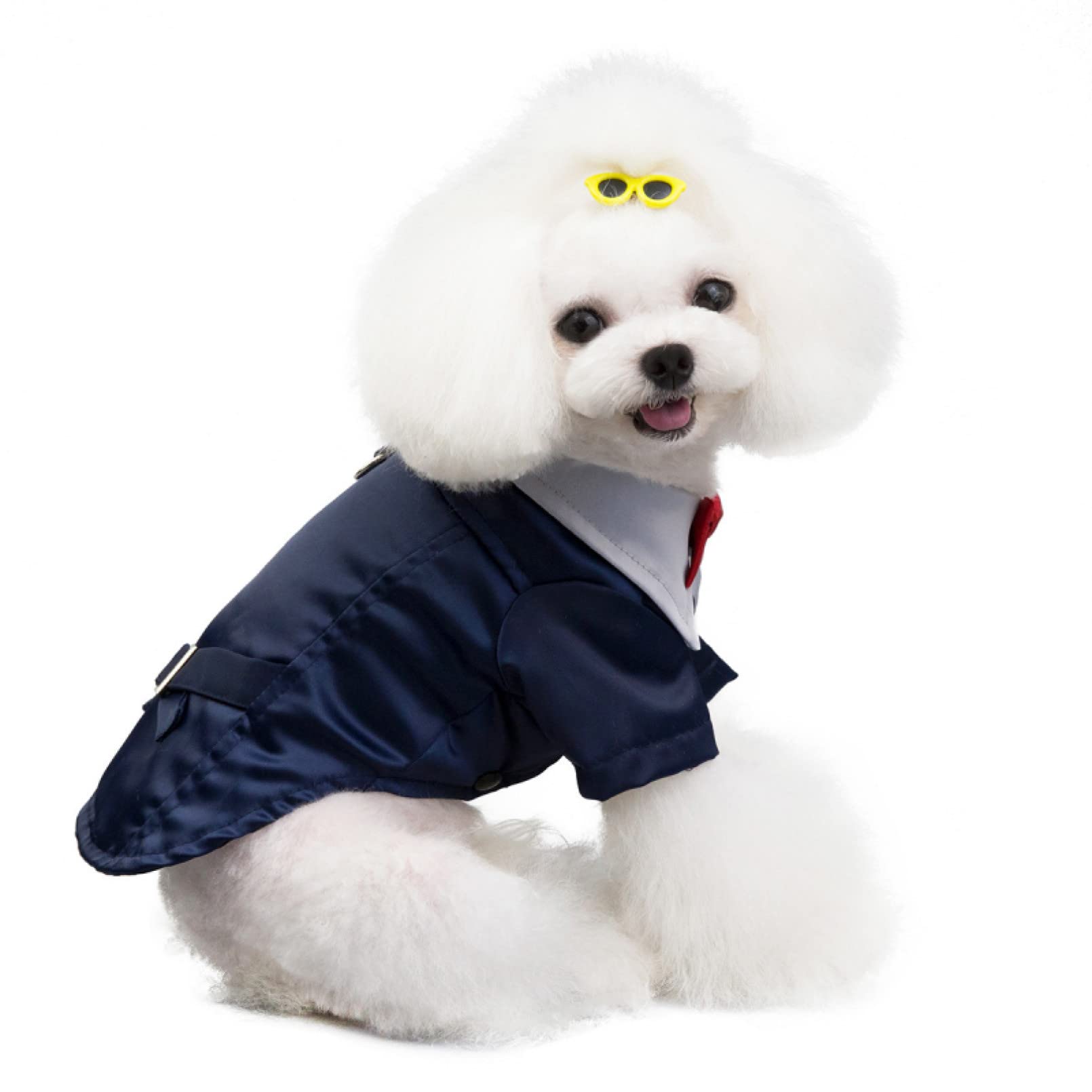 Disfraces de Halloween para Mascotas, Ropa for Perros Ropa for Mascotas Traje de Esmoquin for Perros Disfraz for Mascotas Ropa for Perros o Gatos Halloween(XXL)
