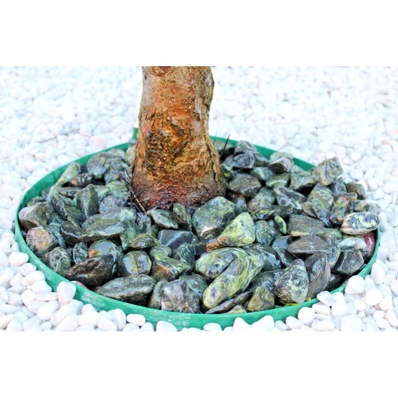 Marble Decorative Stones & Pebbles Chipping | Pot Toppers for Succulents | Ideal for Garden & Home Decor (Green Mint Chippings 15-25mm, 2 kg)