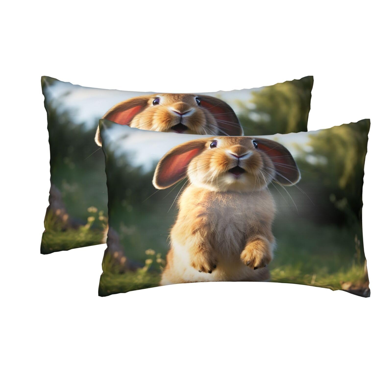 2 Pack Queen Silk Pillow Cases with Hidden Zipper, Luxury Soft Satin Pillow Covers for Hair and Skin, Cute Funny Rabbit Pillowcases 20"x30" Bed Pillow Protectors Cover for Sleeping Gifts
