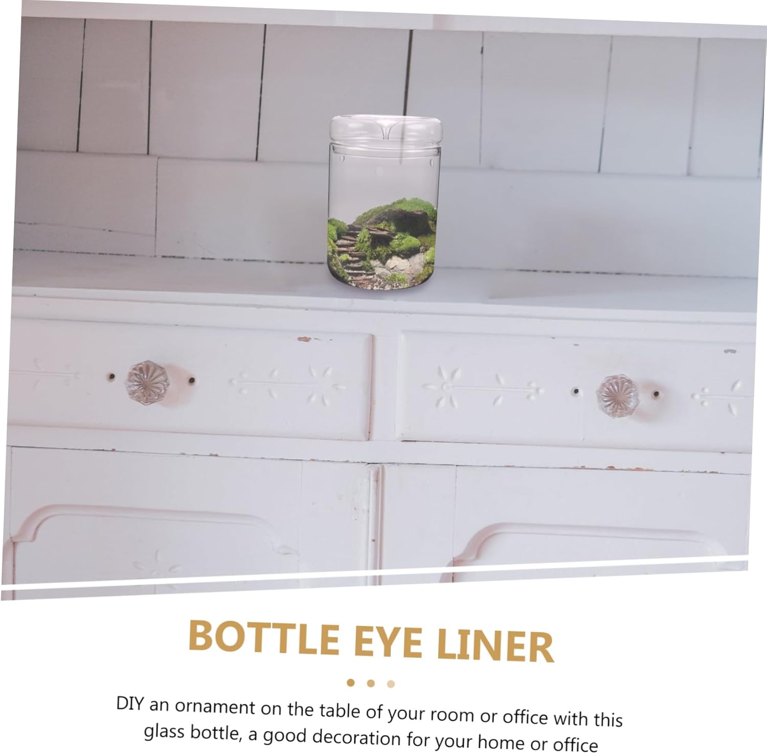 Glass Terrariums for Plants Multi-Functional Storage Decor for Rooms Living Dining Study