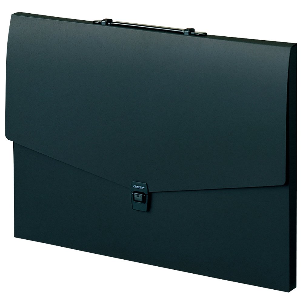 Amazon.co.jp: セキセイ ドキュメントファイル アルタートケース