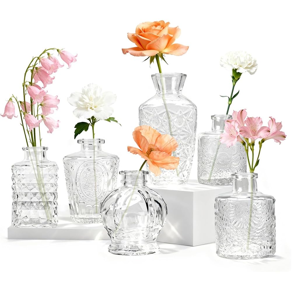 UDSKNV[KSL Elegant Flower Vases in 6-Pack Glass Bud Vase Set, Perfect for Centerpieces, Home and Wedding Decor