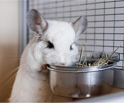 Stainless Steel Cup w/Holder - Durable Metal Mountable Food & Water Dish - Sugar Gliders, Hedgehogs, Chinchillas, Rats, Ferrets, Guinea Pigs, Rabbits, Squirrels, Birds (5 oz., Silver)(Silver,10 oz.)