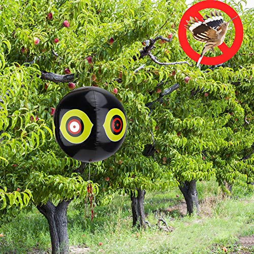 CHICIRIS Ballon Anti-Oiseaux, Ballon Gonflable pour Les Yeux de Prédateur avec Yeux 3D et Couleurs Vives, pour Repousser Les Oiseaux dans Les Terres Agricoles...