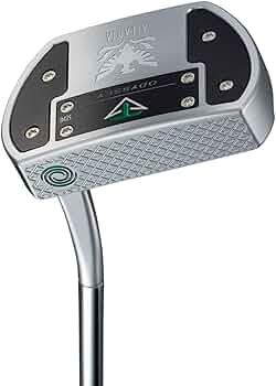 61Ac2VSRfwL._AC_UF350,